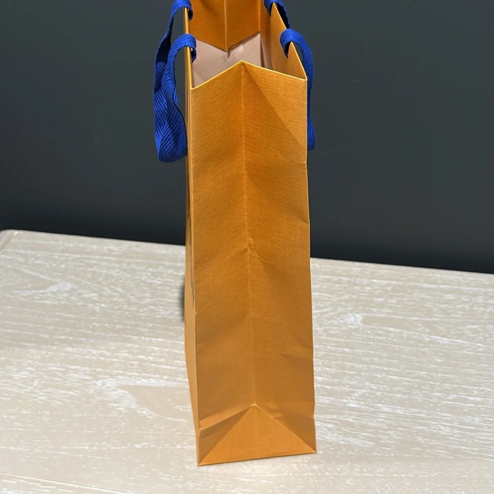 Louis Vuitton Gift/Shopping Bag
